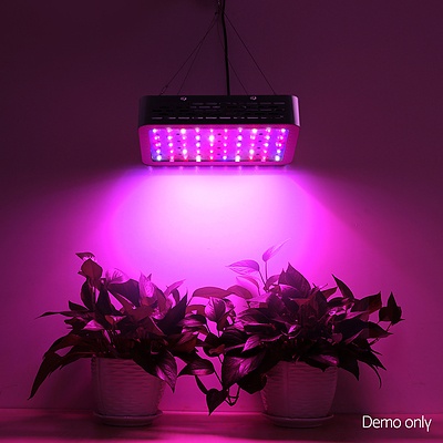 300W LED Grow Light Full Spectrum