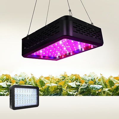 300W LED Grow Light Full Spectrum