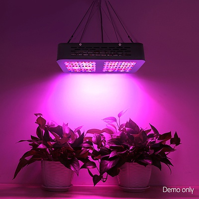 300W LED Grow Light Full Spectrum Reflector