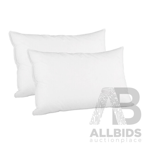 Goose Feather Down Twin Pack Pillow  - Brand New - Free Shipping