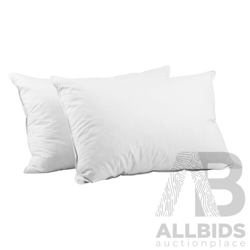 Set of 2 Goose Feather and Duck Down Pillow - White - Free Shipping