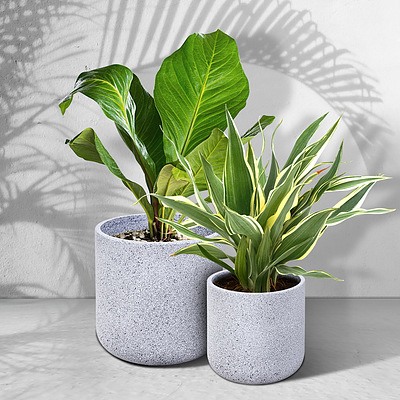 2X Plant Pots Plants Pot Stone Large Garden Indoor Outdoor Flower Planters Decor Grey Oval