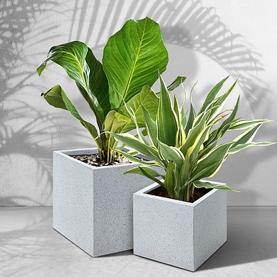 2X Plant Pots Plants Pot Stone Large Garden Indoor Outdoor Flower Planters Decor Grey Square