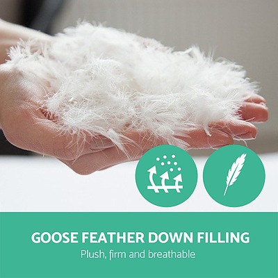 King Mattress Topper Goose Feather Down 1000GSM Pillowtop Topper - Brand New - Free Shipping