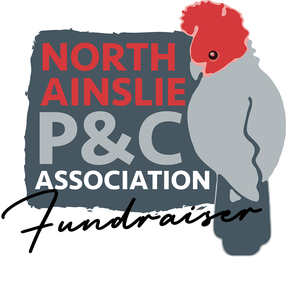 Junior Playground Upgrade Fundraiser